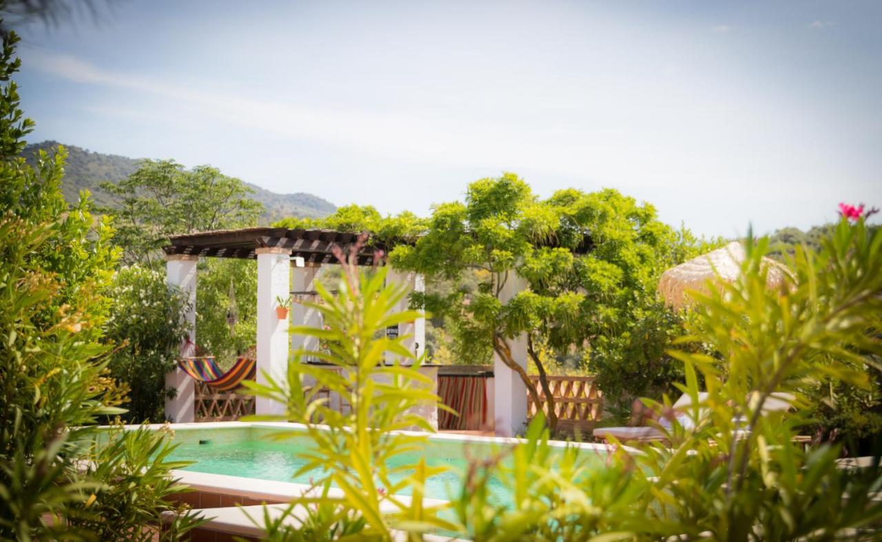 Hacienda El Tarajal Hotel Priego de Córdoba Екстериор снимка
