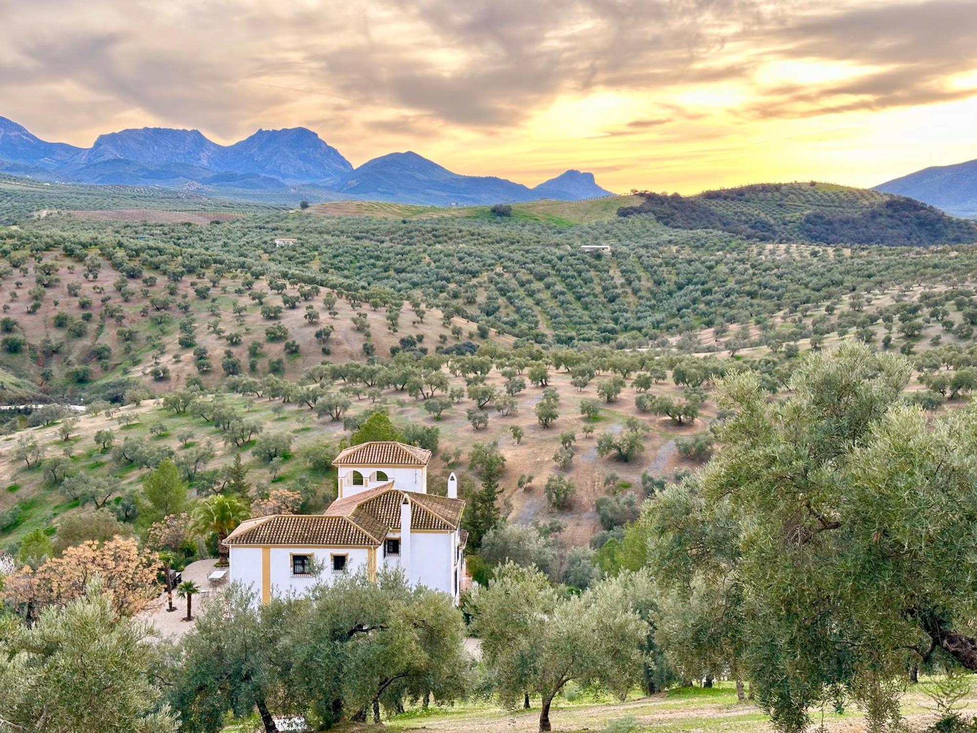 Hacienda El Tarajal Hotel Priego de Córdoba Екстериор снимка