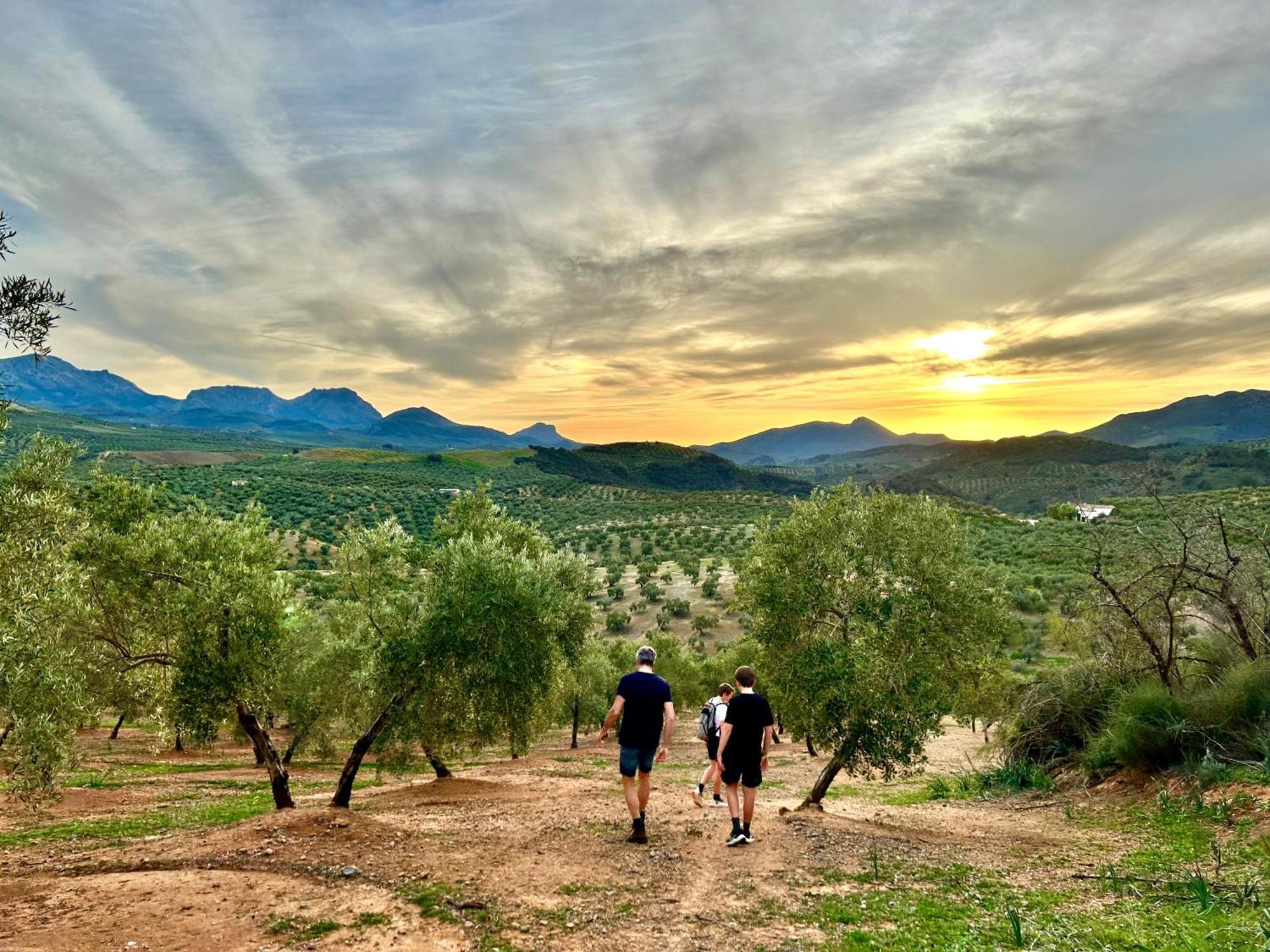 Hacienda El Tarajal Hotel Priego de Córdoba Екстериор снимка