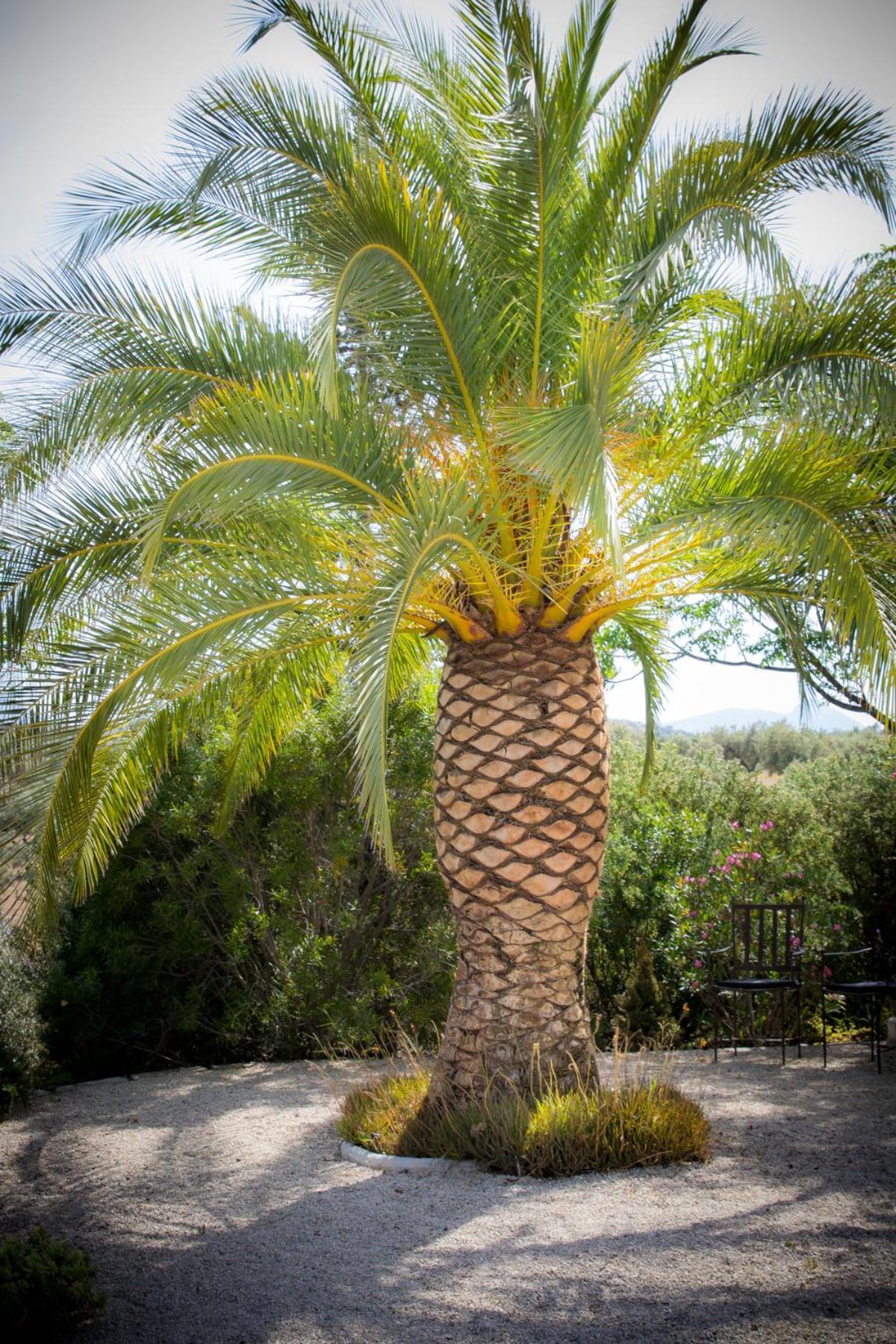 Hacienda El Tarajal Hotel Priego de Córdoba Екстериор снимка