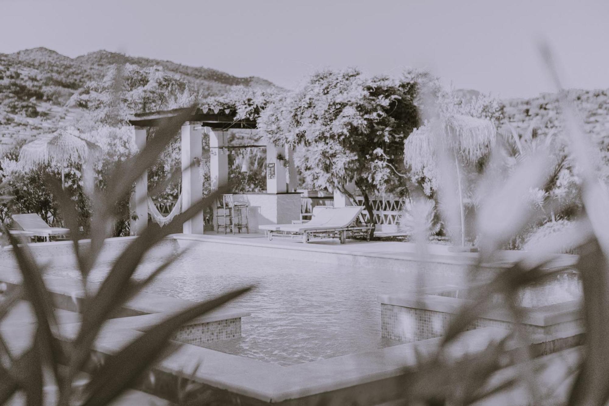 Hacienda El Tarajal Hotel Priego de Córdoba Екстериор снимка
