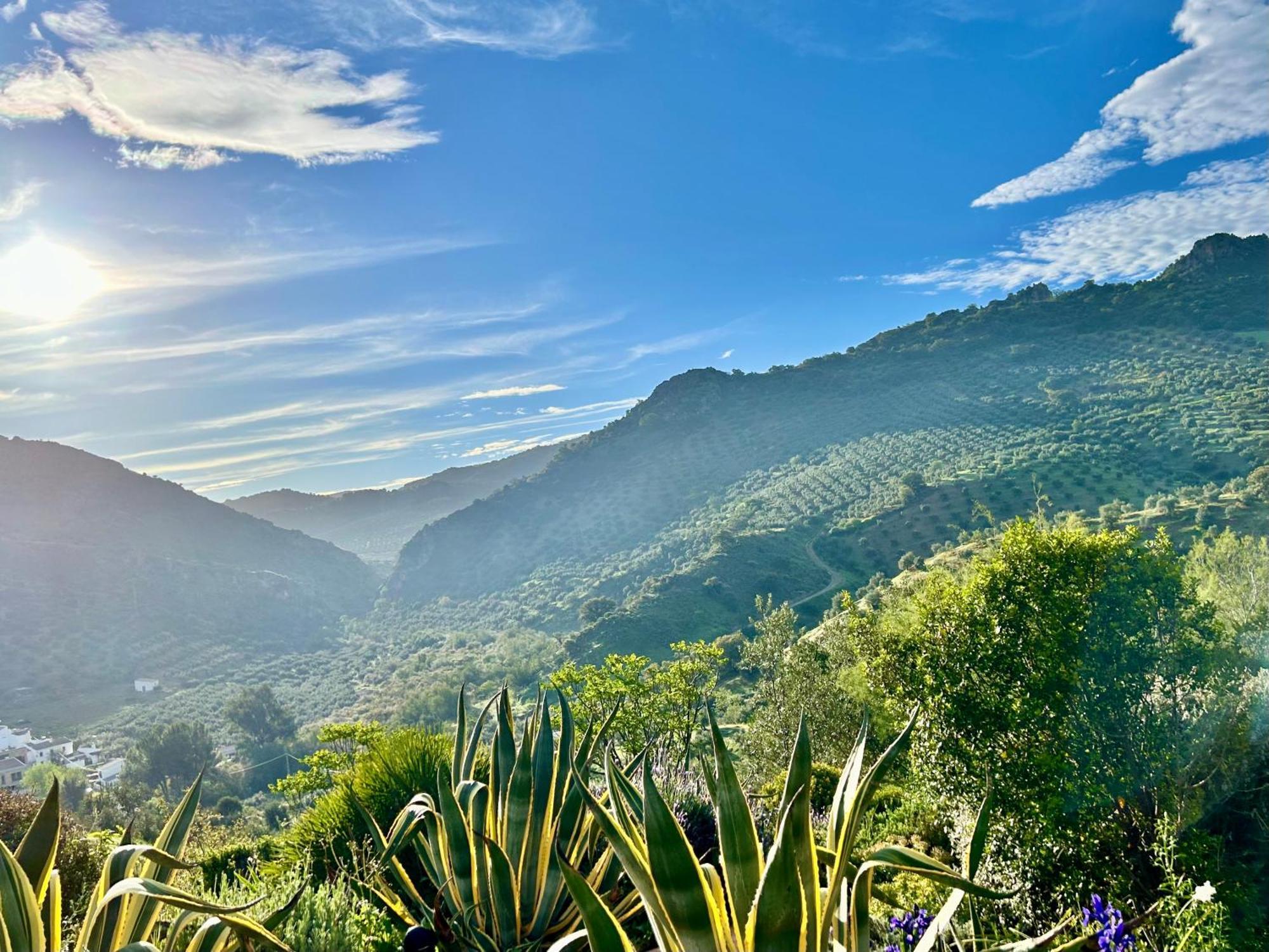 Hacienda El Tarajal Hotel Priego de Córdoba Екстериор снимка